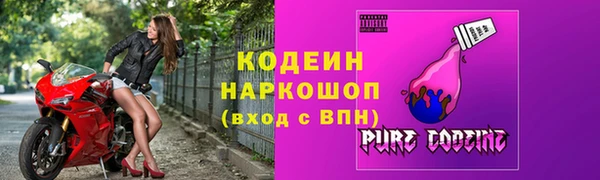 СК Кодинск