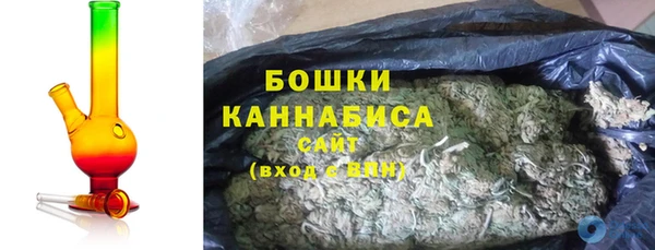 СК Кодинск